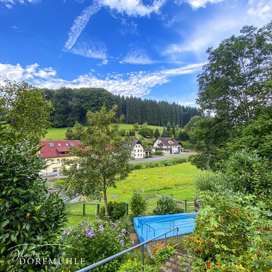 Hirschen-Dorfmuehle Hotel Biederbach Bagian luar foto