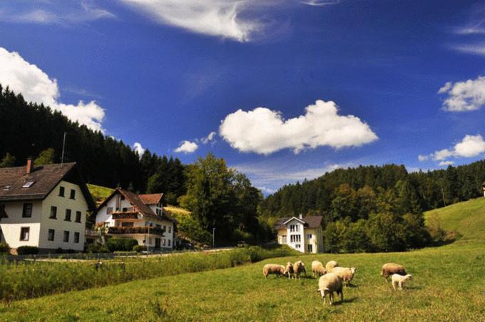 Hirschen-Dorfmuehle Hotel Biederbach Bagian luar foto